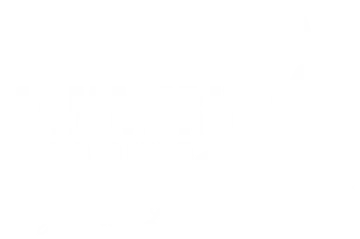 hammerhead